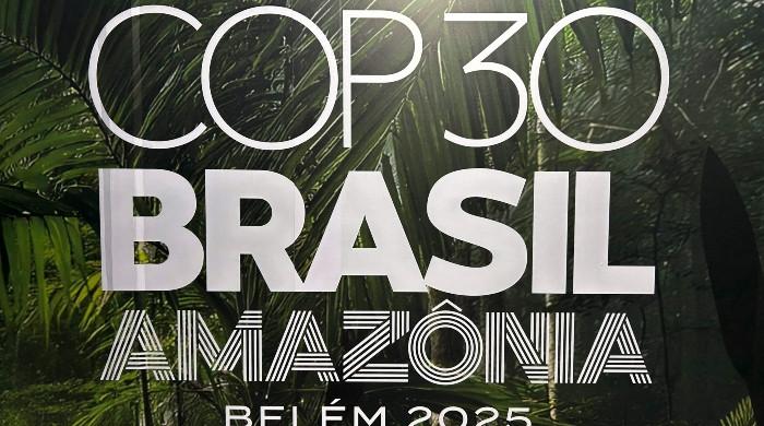 Trees, targets and trillions: What's on the agenda at COP30?