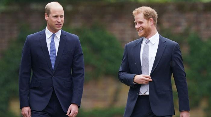 Prince Harry makes big announcement as William receives major honour