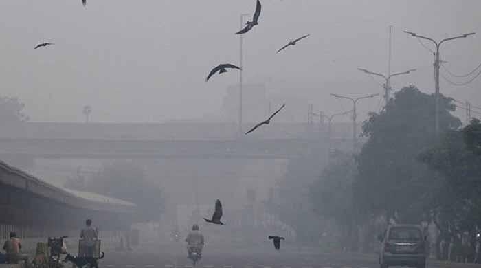 LHC bans commercial activities on Sundays amid smog crisis 