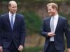 Prince Harry makes big announcement as William receives major honour