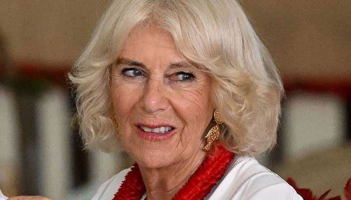 Queen Camilla serves spuds during special day out: Meals on Wheels