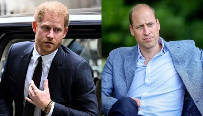 Prince Harry loses opportunity to mend ties with Prince William