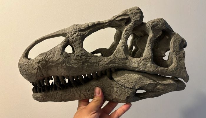 UK seizes £12.4m dinosaur skeletons from businessman in money laundering probe