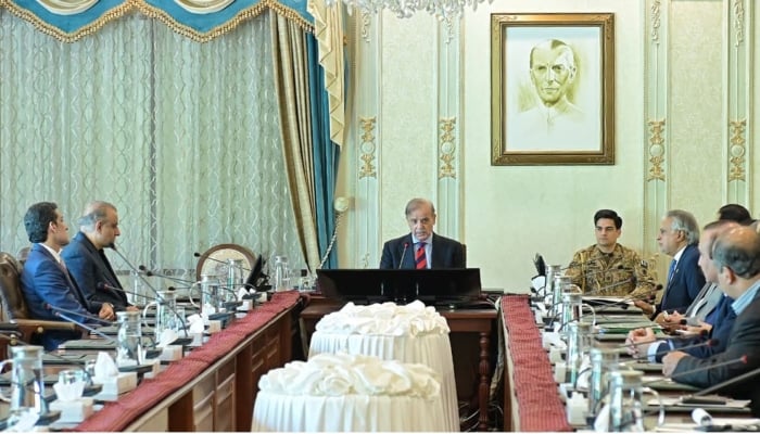 Istehkam-e-Pakistan Party President and Federal Minister for Communication Abdul Aleem Khan and Minister of State for Overseas Pakistanis Aun Chaudhry called on Prime Minister Shehbaz Sharif in Islamabad, November 6, 2025. — Online