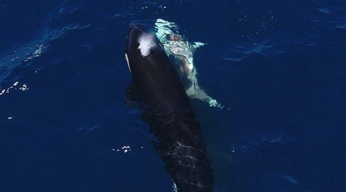 l_632380_052746_updates.jpg