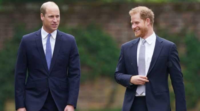 Palace shares William's picture with Meghan and Harry's nemesis 