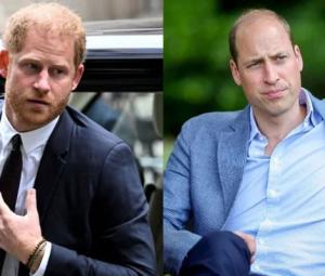 Prince Harry misses another opportunity to reconcile with Prince William 