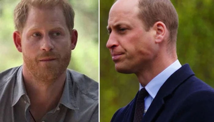 Prince William is currently fuming over Prince Harry