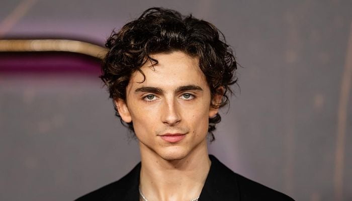 Timothée Chalamet reveals he was once stopped from ruining his career