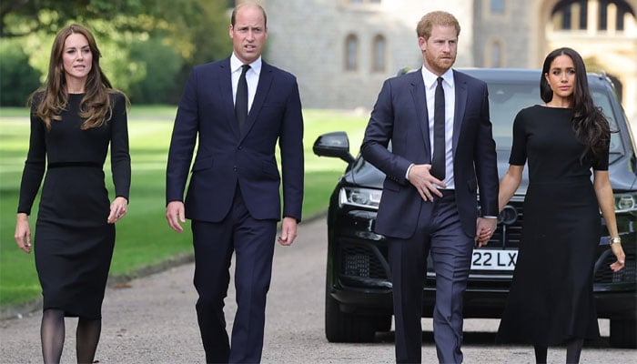 Prince Harry makes bold statement about wife Meghan as Duchess preparing to sue William