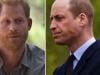 Prince Harry accused of declaring war against fuming Prince William