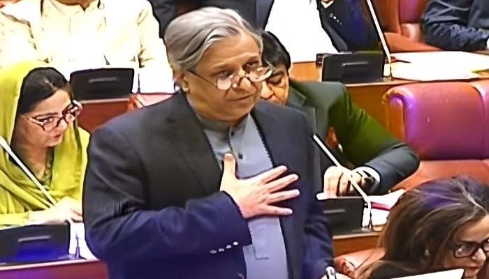 Federal Minister for Law Azam Nazeer Tarar speaking on the floor of the Senate on November 8, 2025. — Screengrab via Geo News