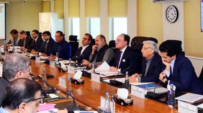 ECC approves Rs659.6bn guarantee for Power Holding Company debt settlement