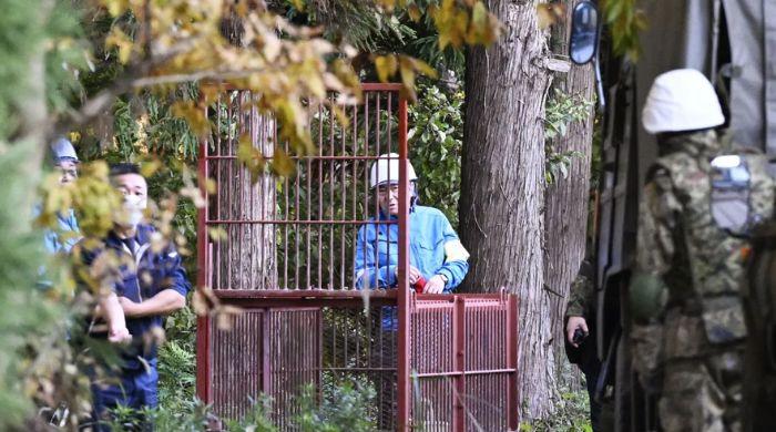 Japan's bear crisis: why soldiers are new frontlines against bears