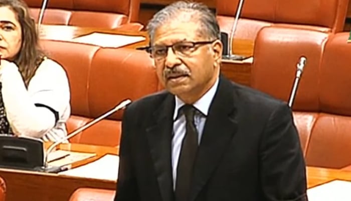 Pakistan Tehreek-e-Insafs (PTI) Senator Ali Zafar speaks during a Senate session, Islamabad, November 9, 2025. Screengrab via YouTube/Geo News