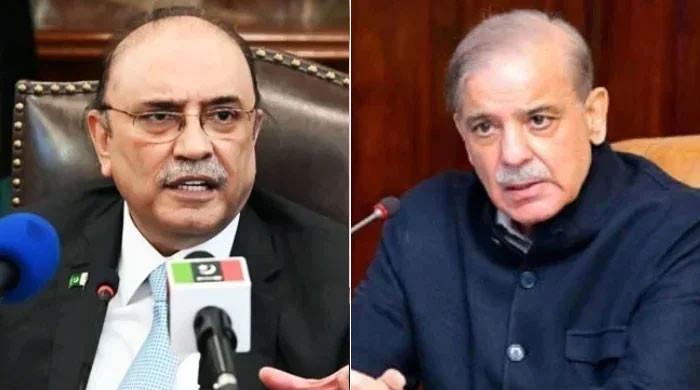 President, PM renew commitment to Allama Iqbal’s principles for brighter future