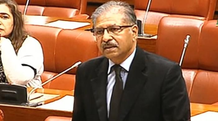 In Senate, PTI says proposed changes to Constitution akin to ‘burying it’