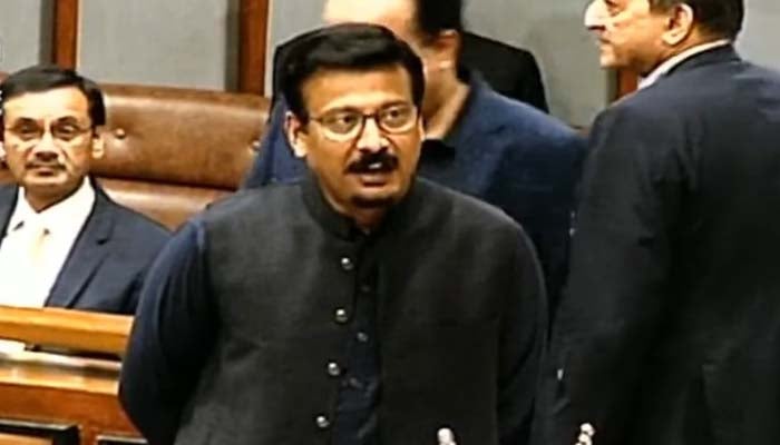 MQM-P Senator Faisal Subzwari speaks during the Senate session in Islamabad, on November 10, 2025. — PTV Parliament