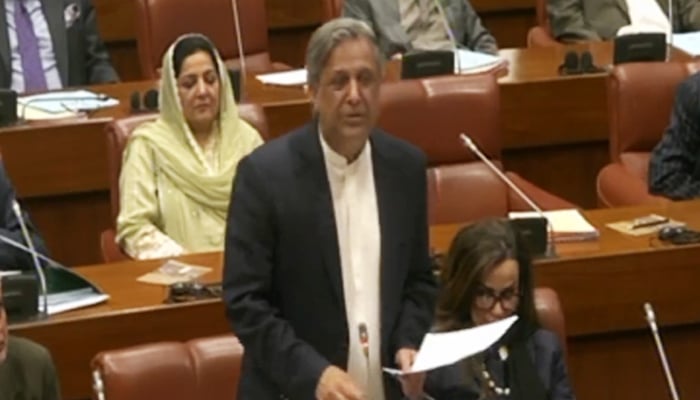 Law Minister Azam Nazeer Tarar speaks during the Senate session in Islamabad, on November 10, 2025. — PTV Parliament