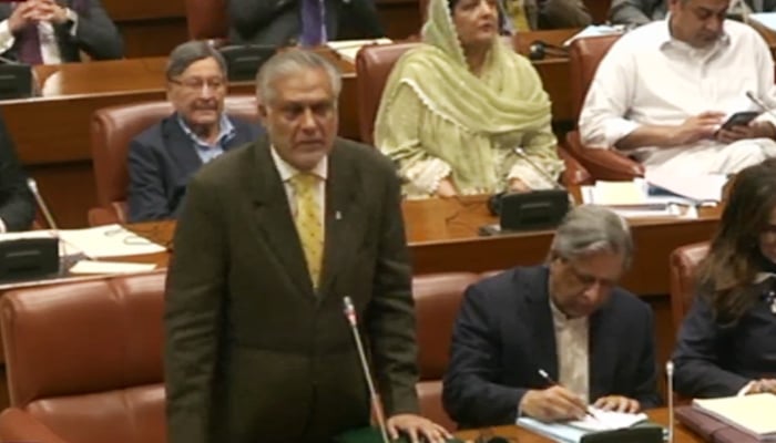 Deputy Prime Minister and Foreign Minister Ishaq Dar speaks during the Senate session in Islamabad, on November 10, 2025. — PTV Parliament