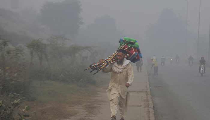 A man walks carrying a bunch of cleaning brushes on his shoulder while selling them along a road amid smog and air pollution in Lahore.— Reuters
