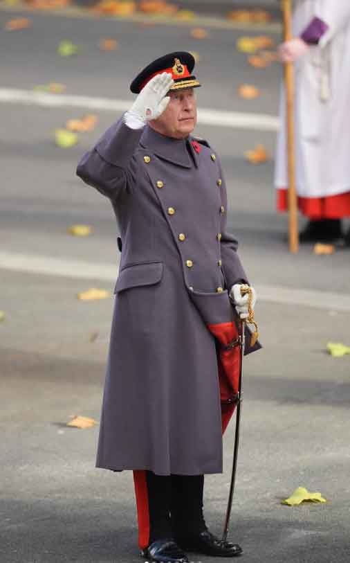 King Charles dirty gloves, Duchess Sophies tears raise eyebrows