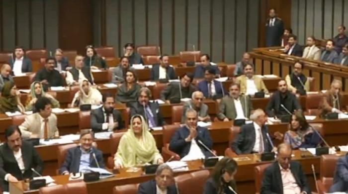 27th Constitutional Amendment Bill sails through Senate amid opposition walkout