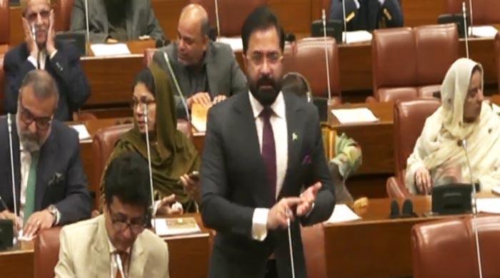 Senate session underway to debate parliamentary committees’ report on 27th Amendment bill