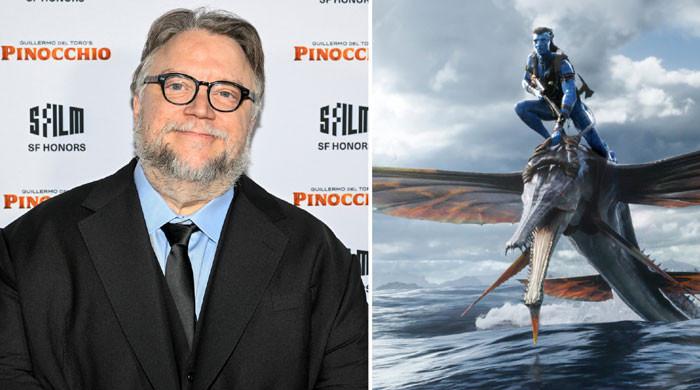 Guillermo del Toro calls 'Avatar' a 'masterpiece'
