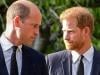 Prince William 'right' about Harry after 'nuclear option' against Andrew