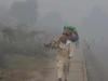 LHC seeks detailed reports on smog control measures