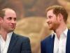 Prince Harry expresses longing for Prince William in subtle move