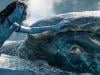 'Avatar' franchise gets high praise from this top director