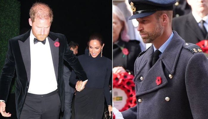 Prince William releases statement about sporting poppy after Meghan sparks criticism
