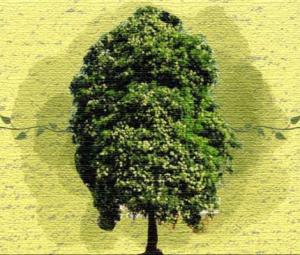 Green memories of a divided land