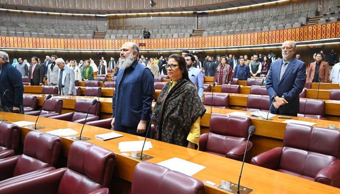 National Assembly session underway in Islamabad on November 11, 2025. — X/@NAofPakistan