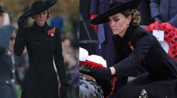 Kate Middleton brings royal brand out of inertia with stunning appearances 