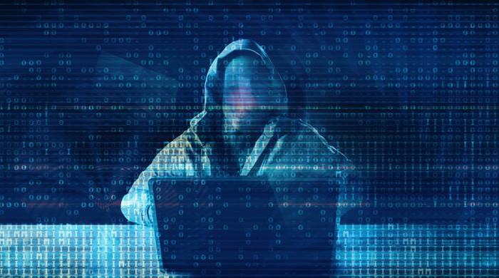 Phished out: What makes people click away their hard-earned savings?