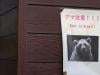 'Almost every day': Japan battles spike in bear attacks