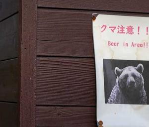 'Almost every day': Japan battles spike in bear attacks