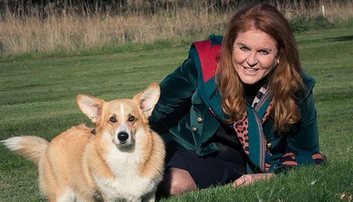 Sarah Ferguson ‘losing her mind’ as she talks to Queen Elizbeth’s dogs