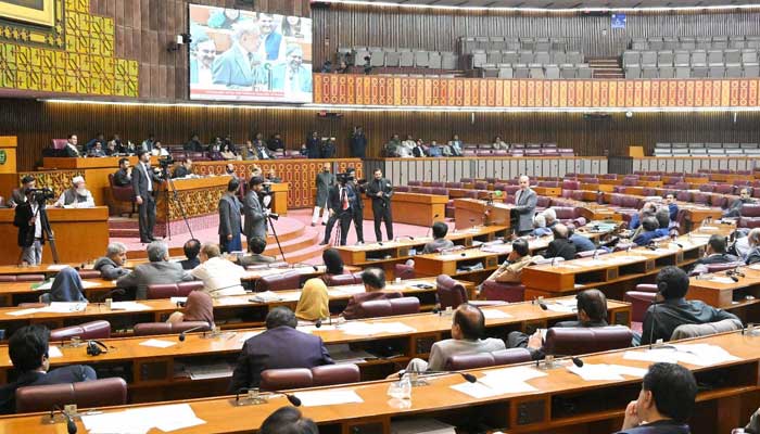 PM Shehbaz Sharif speaks during NA session on November 12, 2025. — Facebook@NationalAssemblyOfPakistan