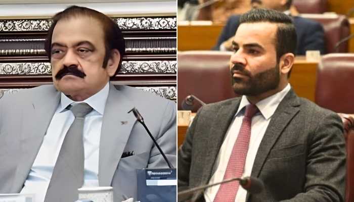 Rana Sanaullah, Special Assistant to the Prime Minister on Political Affairs (left) and Minister of State for Law and Justice Barrister Aqeel Malik. — APP/Instagram/@BarristerAqeelMalik/File