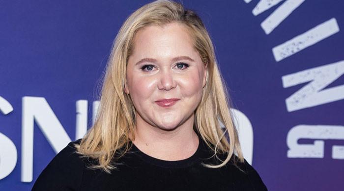 Amy Schumer hits back at critics after wiping her social media posts