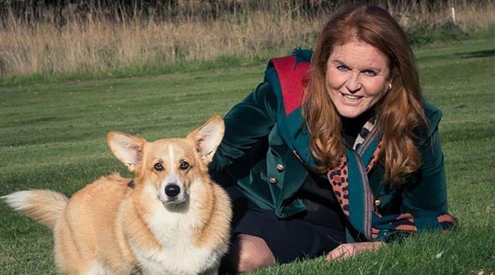 Sarah Ferguson's obsession with late Queen's dogs takes disturbing turn