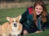 Sarah Ferguson's obsession with late Queen's dogs takes disturbing turn