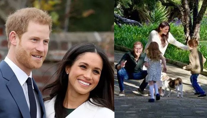 Prince Harry risks fallout with Meghan Markle for THIS reason