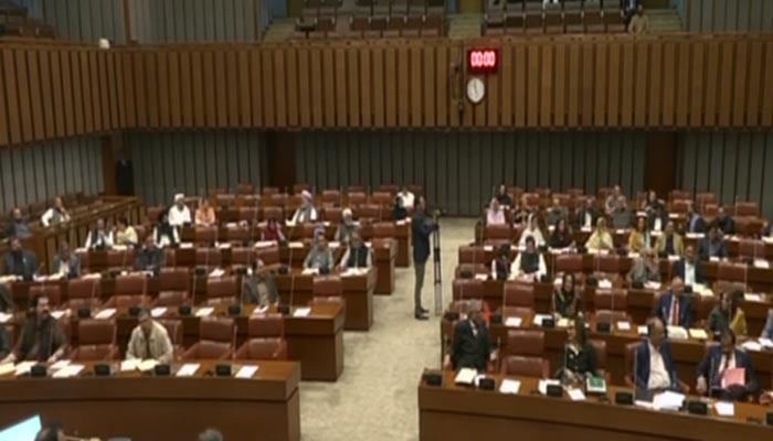 A screengrab of Senate session taken from the live stream. — YouTube@SenateofPakistan