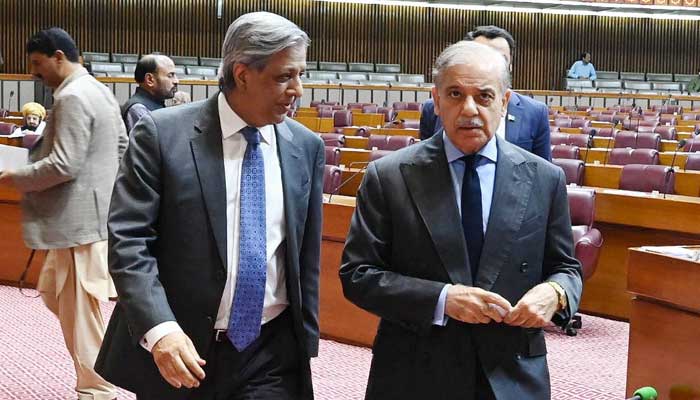PM Shehbaz Sharif pictured alongside Federal Law Minister Azam Nazeer Tarar during NA session on November 13, 2025. — Facebook@NationalAssemblyOfPakistan
