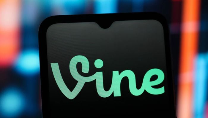 Twitter co-founder backs vine reboot ‘diVine’ with trove of archived clips